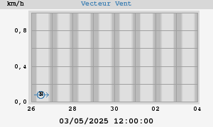 Wind Vector